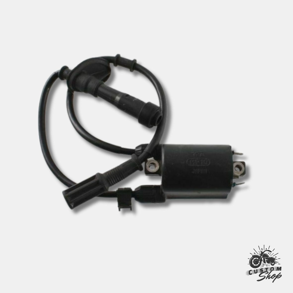 Bobina di accensione completa